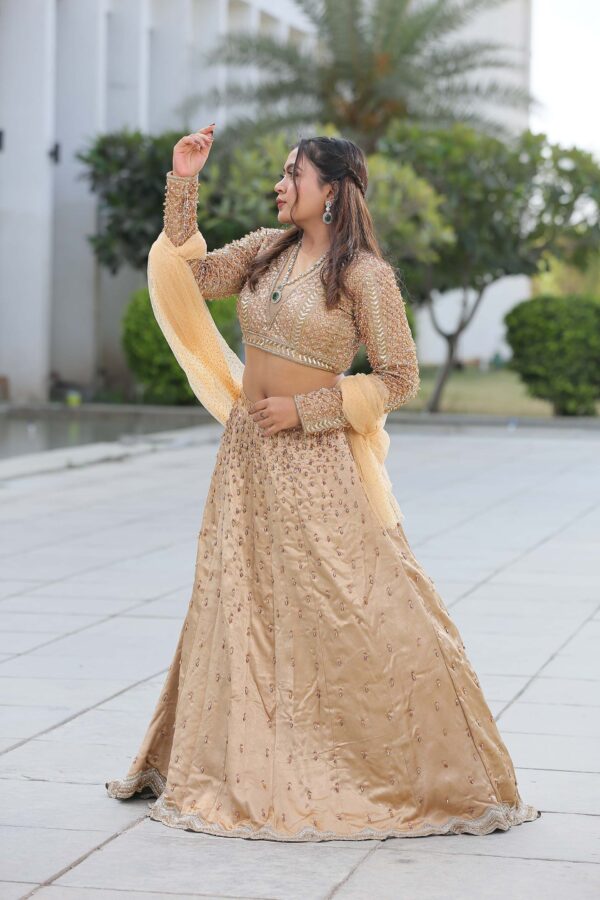Golden gajjisilk - Image 3