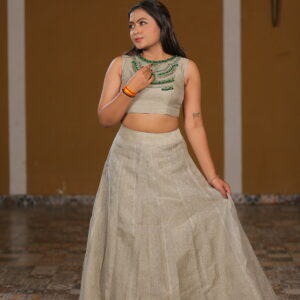 Pure Tissue Silk With Crystal Work