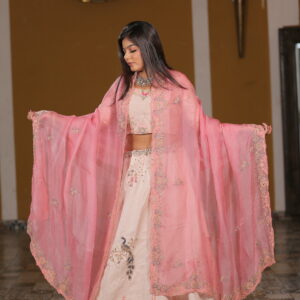 Pink Chaniya Choli Raw Slik  Zardosi Work With Thread Work
